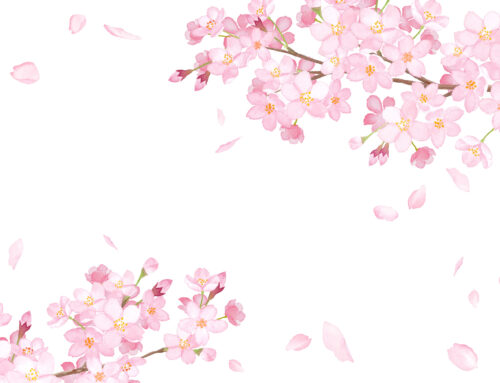 3 innovations pour un environnement durable