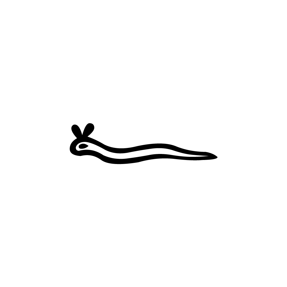 Hiéroglyphe I9