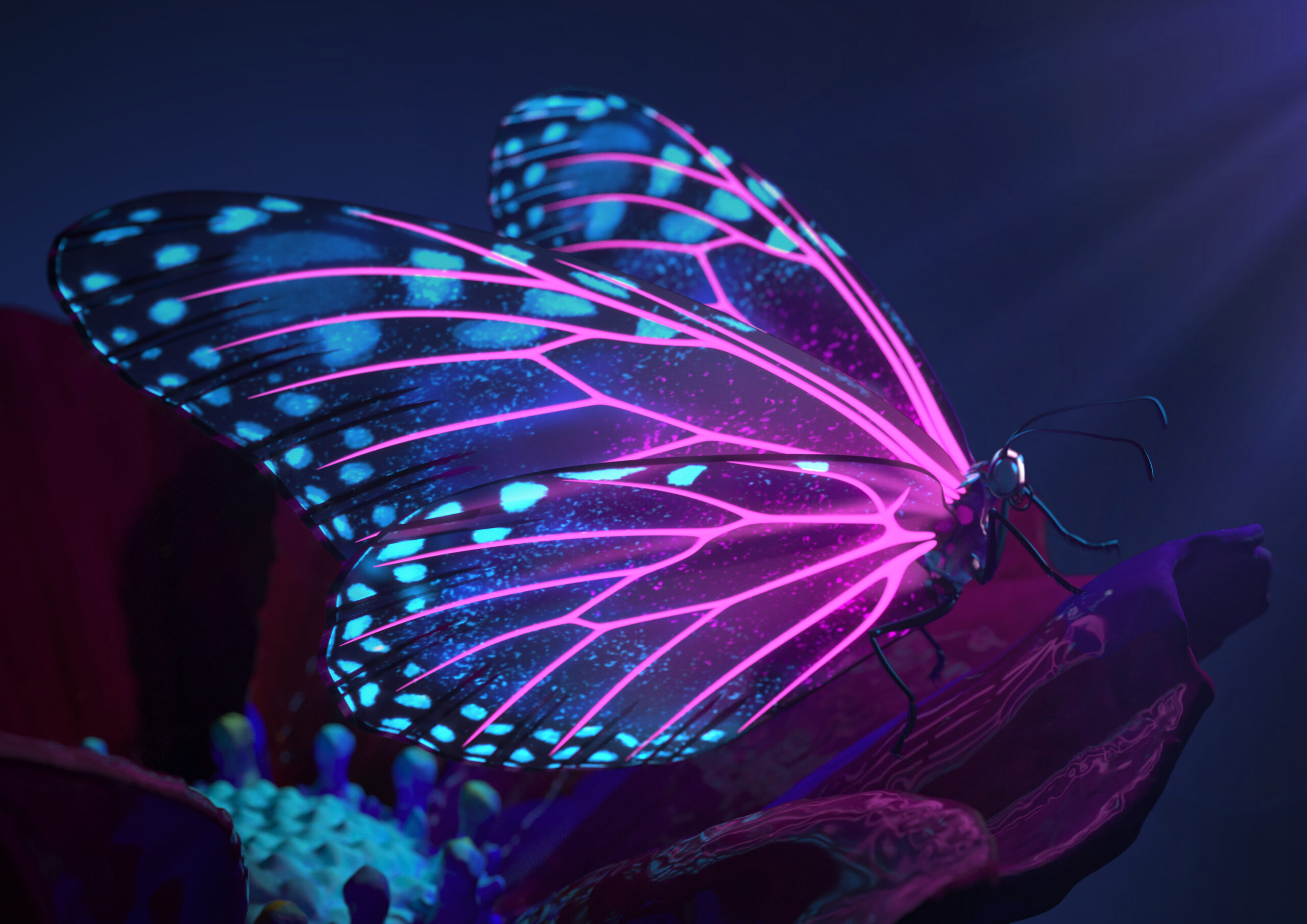 Papillon magique